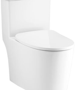 Bồn Cầu Cotto Một Khối WHYN C11003