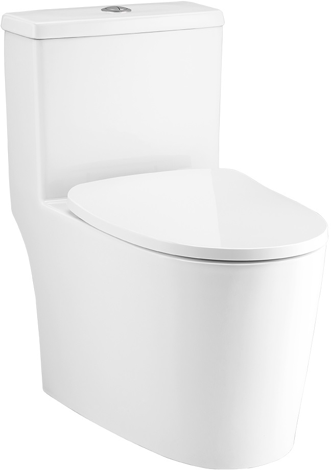 Bồn Cầu Cotto Một Khối WHYN C11003